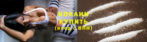 ПСИЛОЦИБИНОВЫЕ ГРИБЫ Гусиноозёрск