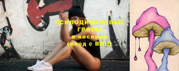дурь Гусев